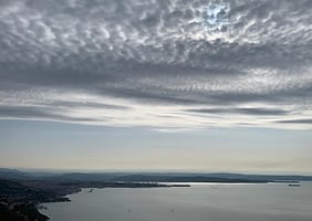 Trieste città della scienza e Trieste città dove si contesta la scienza; Trieste città dall’alto senso civico e Trieste città dalla bassa affluenza alle urne; città con una buona sanità e città che diventa capitale dei novax…..